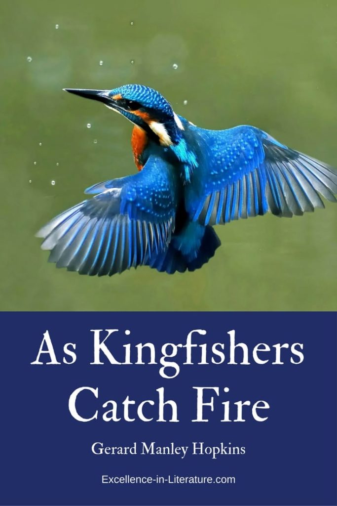 As Kingfishers Catch Fire Excellence in Literature by Janice Campbell