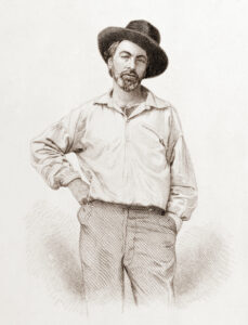 Walt Whitman Biography - Excellence in Literature by Janice Campbell